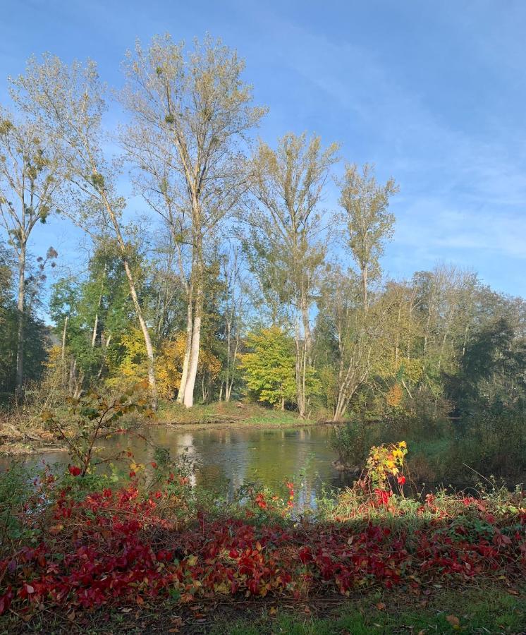 Pool House-L'Hirondelle De Sermizelles- Grand Jardin, Calme Et Nature Aux Portes Du Morvan Екстер'єр фото