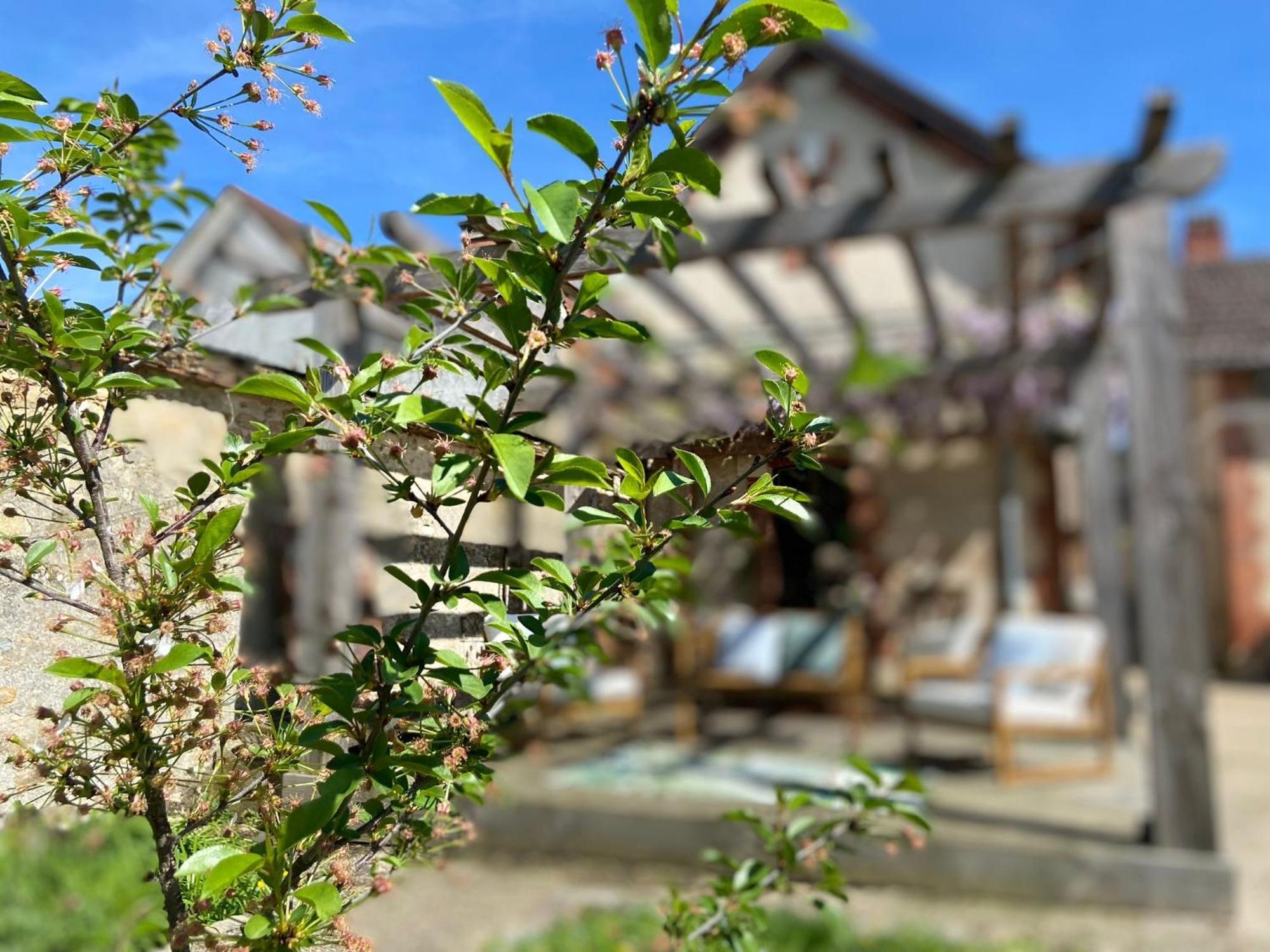 Pool House-L'Hirondelle De Sermizelles- Grand Jardin, Calme Et Nature Aux Portes Du Morvan Екстер'єр фото